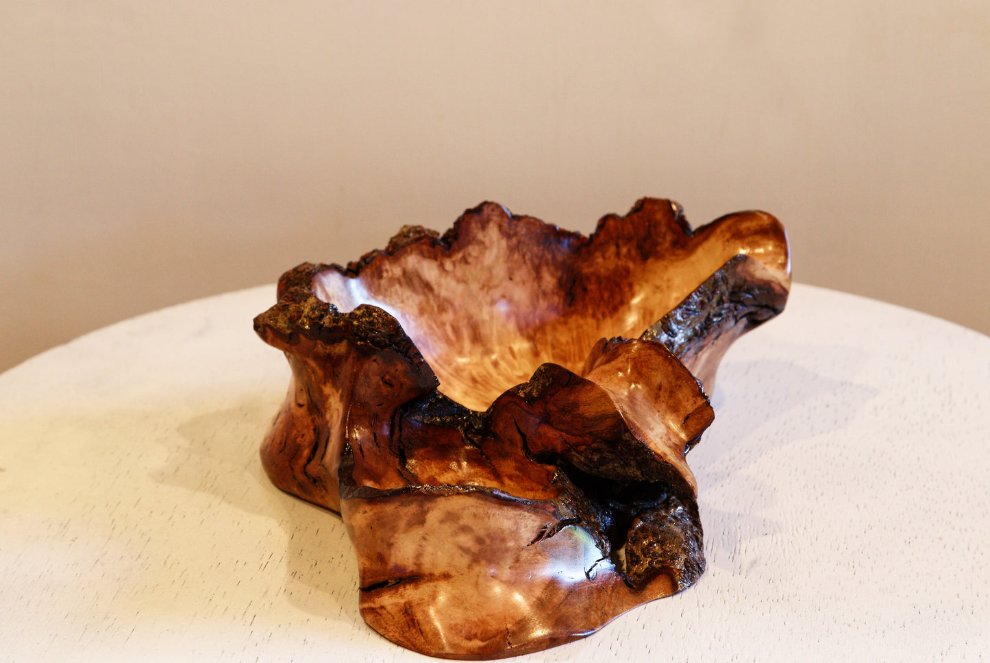 two-part Waxmyrtle wood bowl, catchall jewelry, live edge, beautiful grain, reddish orange, black brown, 10.5 x 7.5 x 3" tall, 2-part, 552-A2