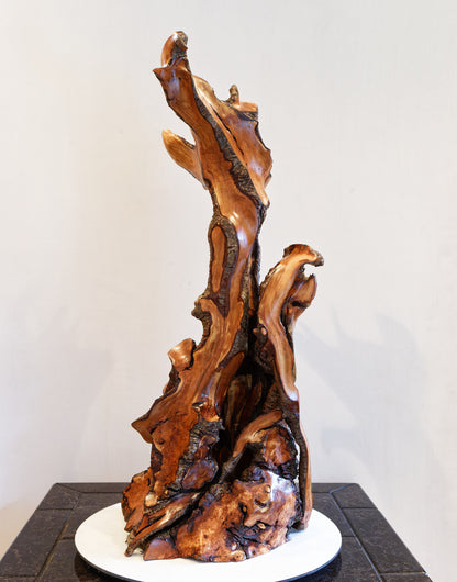 intricate wood root floor sculpture, 33.5 inch tall, brown gold black satin finish, Wabi Sabi, natural rustic, smooth, one of a kind, 552-A1
