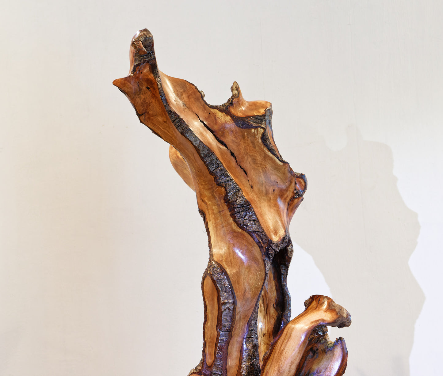 intricate wood root floor sculpture, 33.5 inch tall, brown gold black satin finish, Wabi Sabi, natural rustic, smooth, one of a kind, 552-A1
