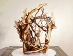 wall hanging roots, cedar roots, 20.5 Tall x 18 x 6'', 5.17 lbs, Wabi Sabi Wasabi wabi-sabi one-of-a-kind, asymmetric, upcycled, 355-C
