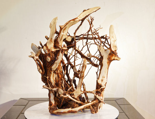 wall hanging roots, cedar roots, 20.5 Tall x 18 x 6'', 5.17 lbs, Wabi Sabi Wasabi wabi-sabi one-of-a-kind, asymmetric, upcycled, 355-C