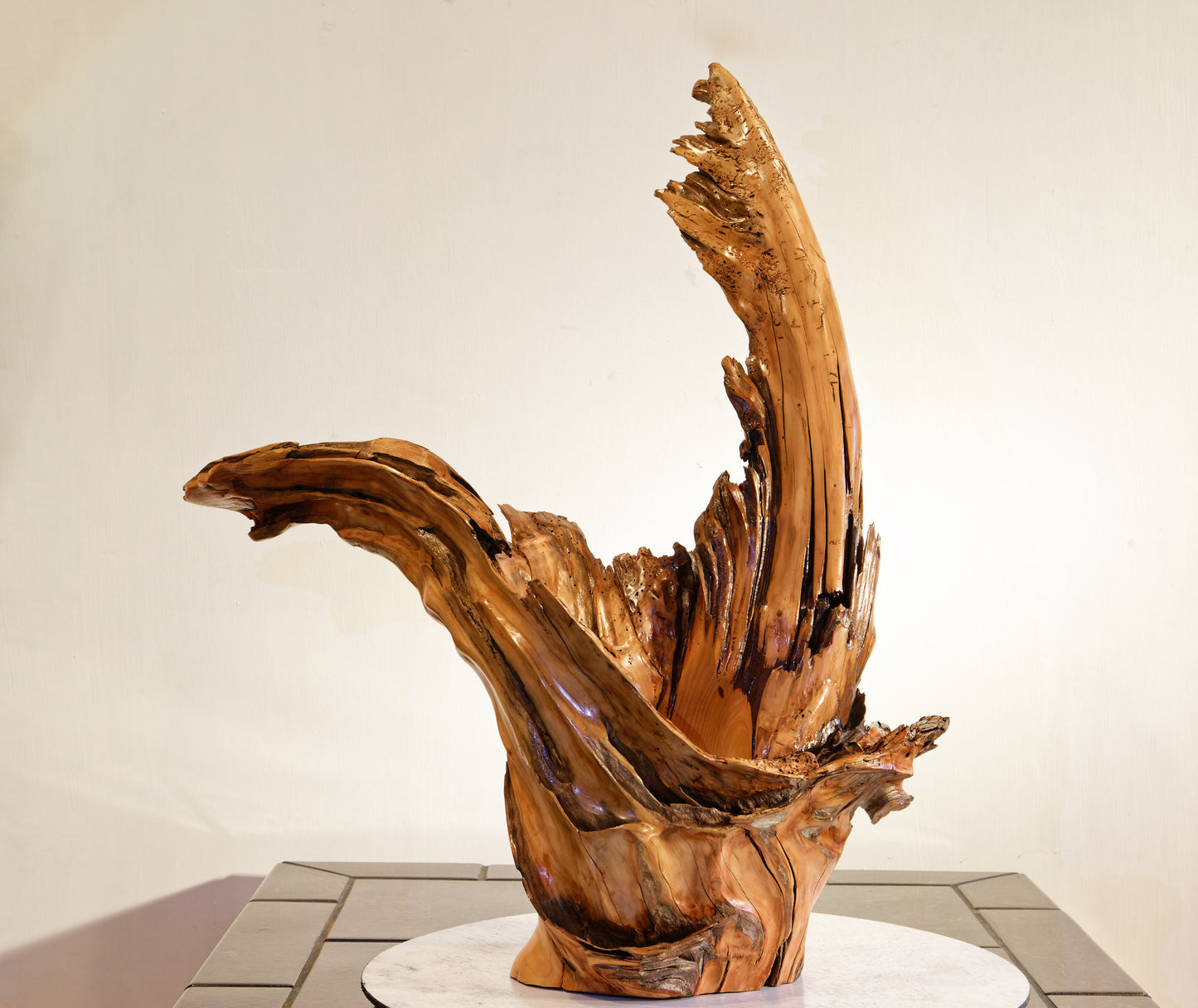 driftwood planter vase 26 inches tall, sprawling arms, root of unknown old growth tree, rustic natural, Wabi Sabi, smooth, thick and thin, one of a kind, unique, exotic, organic, natural, salvaged wood, recycled wood, reclaimed wood, 276-A