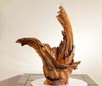 driftwood planter vase 26 inches tall, sprawling arms, root of unknown old growth tree, rustic natural, Wabi Sabi, smooth, thick and thin, one of a kind, unique, exotic, organic, natural, salvaged wood, recycled wood, reclaimed wood, 276-A