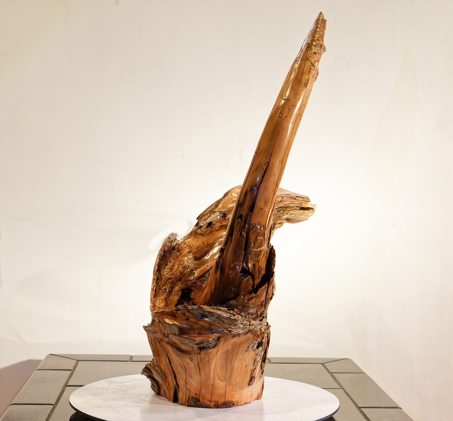driftwood planter vase 26 inches tall, sprawling arms, root of unknown old growth tree, rustic natural, Wabi Sabi, smooth, thick and thin, one of a kind, unique, exotic, organic, natural, salvaged wood, recycled wood, reclaimed wood, 276-A