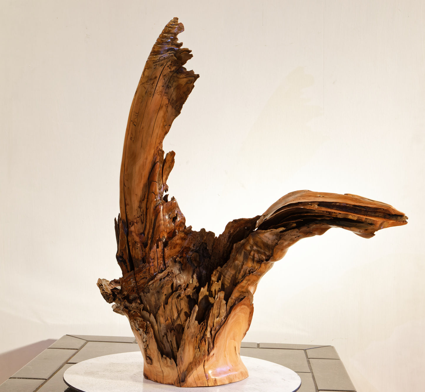 driftwood planter vase 26 inches tall, sprawling arms, root of unknown old growth tree, rustic natural, Wabi Sabi, smooth, thick and thin, one of a kind, unique, exotic, organic, natural, salvaged wood, recycled wood, reclaimed wood, 276-A