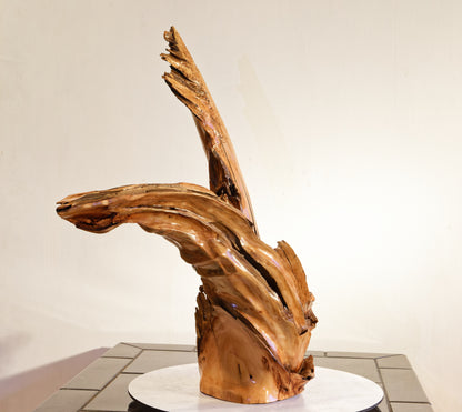 driftwood planter vase 26 inches tall, sprawling arms, root of unknown old growth tree, rustic natural, Wabi Sabi, smooth, thick and thin, one of a kind, unique, exotic, organic, natural, salvaged wood, recycled wood, reclaimed wood, 276-A