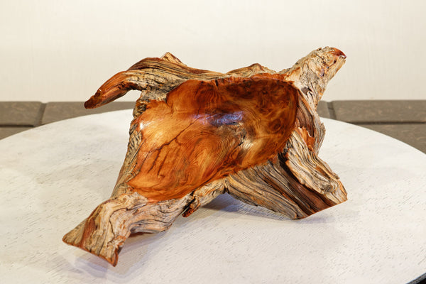 Wood catchall bowl sculpture, natural, rustic, live edge yet refined, 12 inch, Wabi Sabi Wasabi, one of a kind, asymmetric, upcycled, 499-C