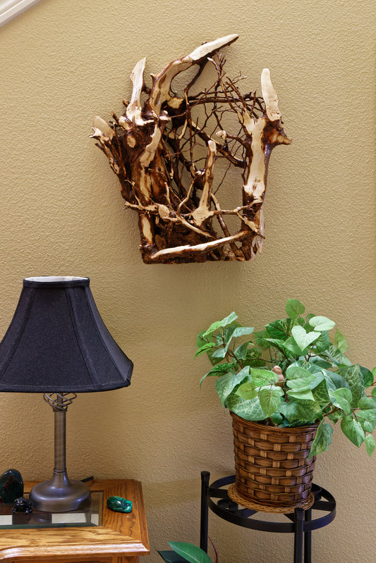 wall hanging roots, cedar roots, 20.5 Tall x 18 x 6'', 5.17 lbs, Wabi Sabi Wasabi wabi-sabi one-of-a-kind, asymmetric, upcycled, 355-C