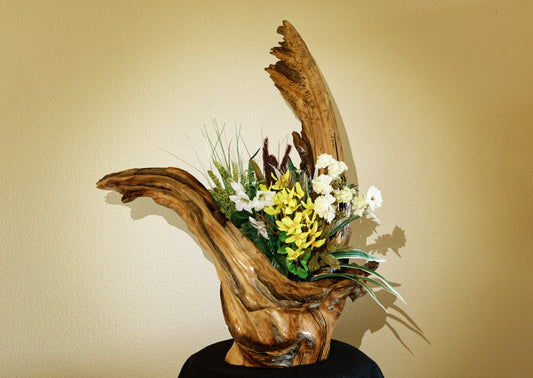 driftwood planter vase 26 inches tall, sprawling arms, root of unknown old growth tree, rustic natural, Wabi Sabi, smooth, thick and thin, one of a kind, unique, exotic, organic, natural, salvaged wood, recycled wood, reclaimed wood, 276-A