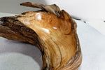 Hook shaped driftwood cedar wood bowl, rustic decorative, curves, Wabi Sabi Wasabi, one of a kind, 14.5 inch long, 4.5" tall, 2 lbs, 999-G,