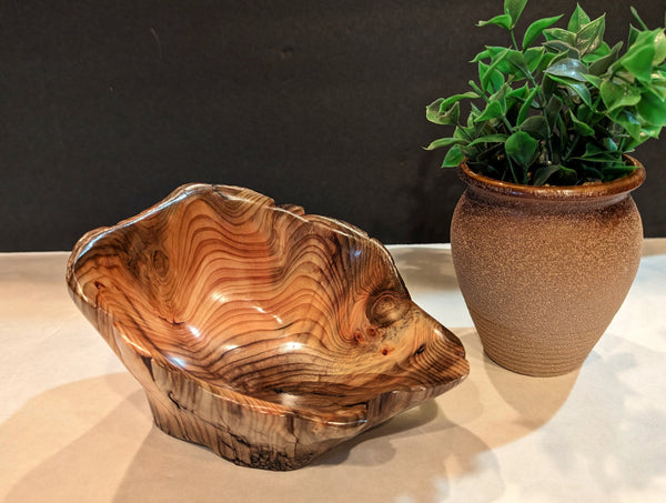 Bowl catchall, Wood, 4.2 tall x 7 x 5.5'', 1 lb., Douglas fir, Wabi Sabi, one-of-a-kind, beautiful grain, asymmetric, upcycled, 571-A4