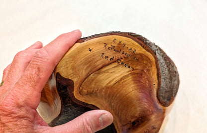 Red cedar bowl, Wood, 6 tall x 10 x 6.25'', 1.29 lbs, Wabi Sabi Wasabi wabi-sabi one-of-a-kind, asymmetric, upcycled, 574-A2