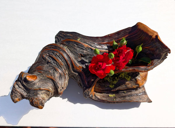 rustic weathered natural wood tabletop sculpture / vase, Ponderosa pine, lichens, 5 tall x 13 x 9’’, 2.9 lbs., Wabi Sabi one-of-a-kind, 385-C