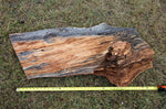 Top view of a 36 inch long raw wood as collected for art.  Live-edge slab with natural grain patterns in shades of brown, tan, and gray, displayed on a grassy lawn with a yellow tape measure underneath for scale.