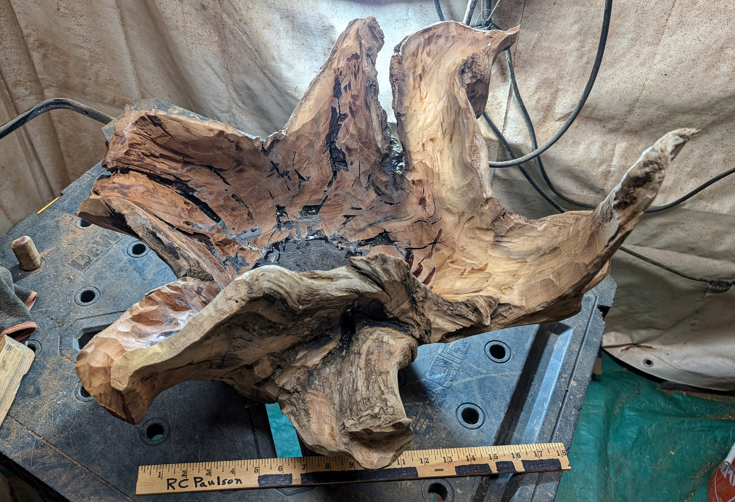 Exotic branched wood root bowl, large, smooth, rustic refined, twisted, arced, sprawling, one of a kind, unique, maroon, brown gold, 14.75'' T, x 21.5, obsidian rock floor inside, Wabi Sabi, driftwood, fruit bowl, food safe, beautiful, 369-A