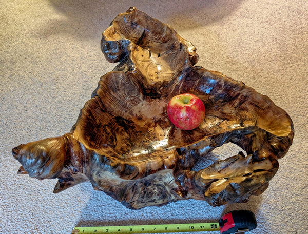 Root bowl with imbedded lava rock, pine wood, rustic root bowl, live edge, irregular, 2-levels, conjoined roots, gold maroon brown, rich grain, 7"T x 20.5L, Wabi Sabi, 593-A2