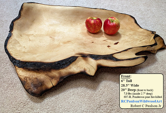 wooden serving tray platter, forest fire-scarred, Ponderosa pine 200+ yr old growth tree, live edge, irregular, natural tan brown, rich grain, 6"T x 28.5", one-of-a-kind, 607-B