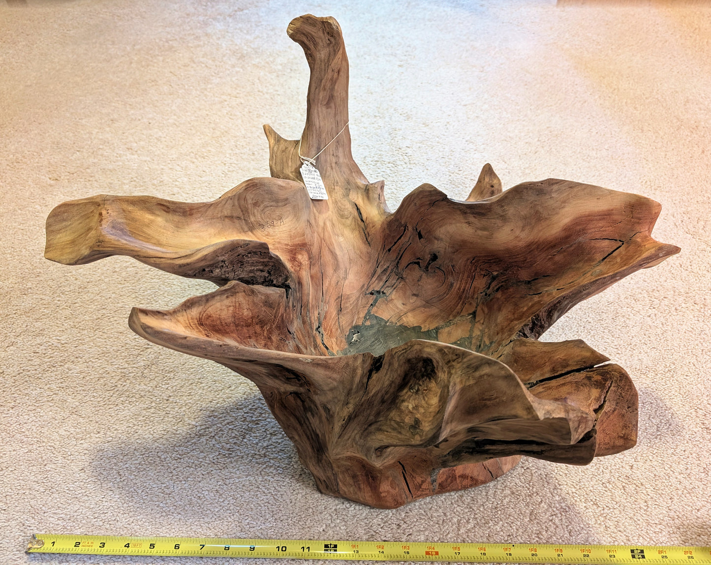 Exotic branched wood root bowl, large, smooth, rustic refined, twisted, arced, sprawling, one of a kind, unique, maroon, brown gold, 14.75'' T, x 21.5, obsidian rock floor inside, Wabi Sabi, driftwood, fruit bowl, food safe, beautiful, 369-A