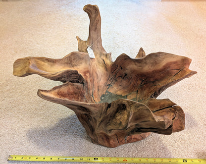 Exotic branched wood root bowl, large, smooth, rustic refined, twisted, arced, sprawling, one of a kind, unique, maroon, brown gold, 14.75'' T, x 21.5, obsidian rock floor inside, Wabi Sabi, driftwood, fruit bowl, food safe, beautiful, 369-A