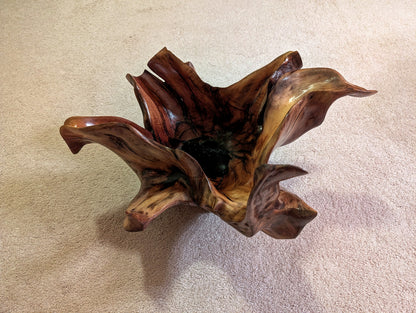 Exotic branched wood root bowl, large, smooth, rustic refined, twisted, arced, sprawling, one of a kind, unique, maroon, brown gold, 14.75'' T, x 21.5, obsidian rock floor inside, Wabi Sabi, driftwood, fruit bowl, food safe, beautiful, 369-A