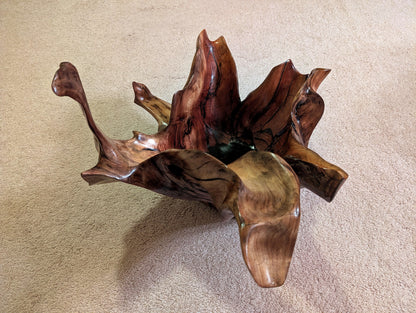 Exotic branched wood root bowl, large, smooth, rustic refined, twisted, arced, sprawling, one of a kind, unique, maroon, brown gold, 14.75'' T, x 21.5, obsidian rock floor inside, Wabi Sabi, driftwood, fruit bowl, food safe, beautiful, 369-A