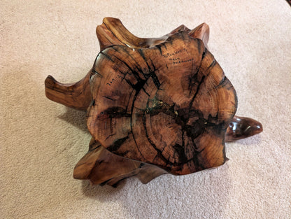 Exotic branched wood root bowl, large, smooth, rustic refined, twisted, arced, sprawling, one of a kind, unique, maroon, brown gold, 14.75'' T, x 21.5, obsidian rock floor inside, Wabi Sabi, driftwood, fruit bowl, food safe, beautiful, 369-A
