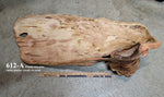 Art item almost ready for finish coating. Top and side view of a 34 inch long natural wood serving platter charcuterie board with a rustic, irregular shape and prominent grain. One-of-a-kind Ponderosa pine, live edge that is both smooth and rough features and beautiful grain patterns.  It measures 8.25 tall x 33.75 inches long x 13.5'', 7.8 lbs. 