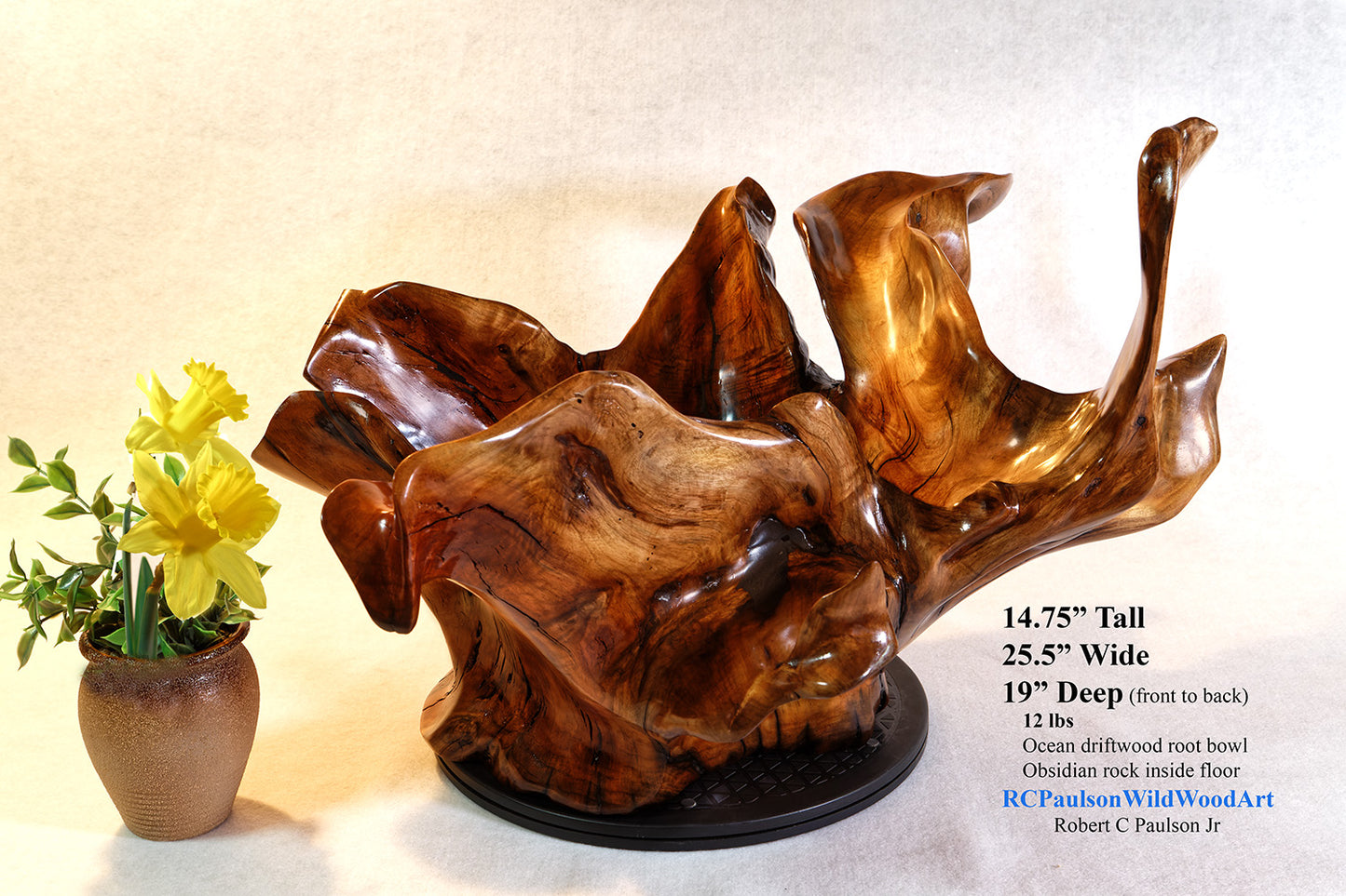 Exotic branched wood root bowl, large, smooth, rustic refined, twisted, arced, sprawling, one of a kind, unique, maroon, brown gold, 14.75'' T, x 21.5, obsidian rock floor inside, Wabi Sabi, driftwood, fruit bowl, food safe, beautiful, 369-A