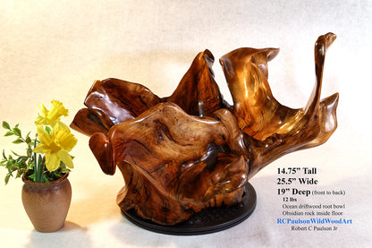 Exotic branched wood root bowl, large, smooth, rustic refined, twisted, arced, sprawling, one of a kind, unique, maroon, brown gold, 14.75'' T, x 21.5, obsidian rock floor inside, Wabi Sabi, driftwood, fruit bowl, food safe, beautiful, 369-A