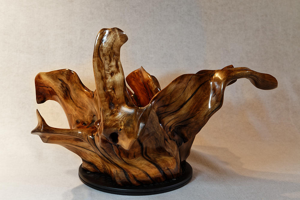 Exotic branched wood root bowl, large, smooth, rustic refined, twisted, arced, sprawling, one of a kind, unique, maroon, brown gold, 14.75'' T, x 21.5, obsidian rock floor inside, Wabi Sabi, driftwood, fruit bowl, food safe, beautiful, 369-A