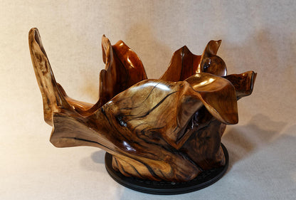 Exotic branched wood root bowl, large, smooth, rustic refined, twisted, arced, sprawling, one of a kind, unique, maroon, brown gold, 14.75'' T, x 21.5, obsidian rock floor inside, Wabi Sabi, driftwood, fruit bowl, food safe, beautiful, 369-A