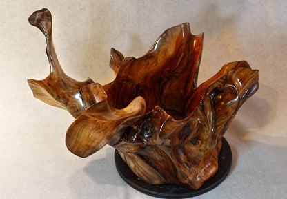 Exotic branched wood root bowl, large, smooth, rustic refined, twisted, arced, sprawling, one of a kind, unique, maroon, brown gold, 14.75'' T, x 21.5, obsidian rock floor inside, Wabi Sabi, driftwood, fruit bowl, food safe, beautiful, 369-A
