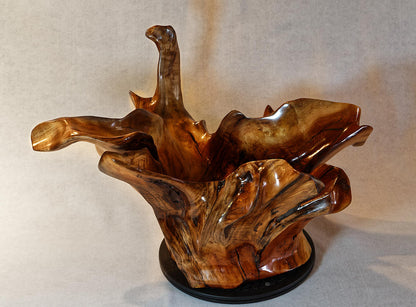 Exotic branched wood root bowl, large, smooth, rustic refined, twisted, arced, sprawling, one of a kind, unique, maroon, brown gold, 14.75'' T, x 21.5, obsidian rock floor inside, Wabi Sabi, driftwood, fruit bowl, food safe, beautiful, 369-A