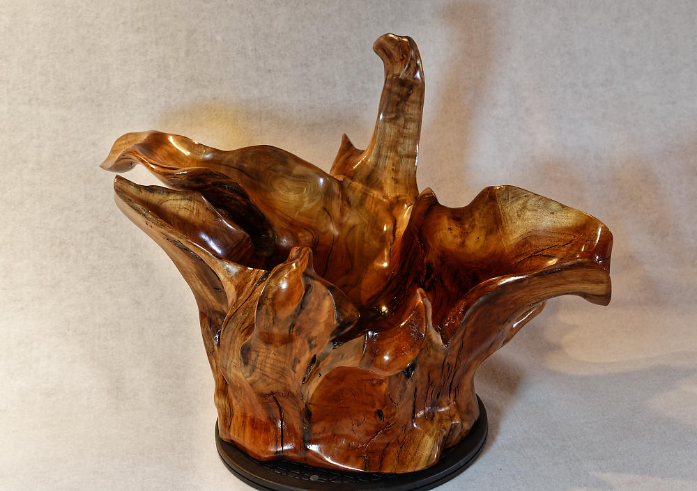 Exotic branched wood root bowl, large, smooth, rustic refined, twisted, arced, sprawling, one of a kind, unique, maroon, brown gold, 14.75'' T, x 21.5, obsidian rock floor inside, Wabi Sabi, driftwood, fruit bowl, food safe, beautiful, 369-A