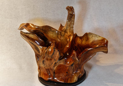 Exotic branched wood root bowl, large, smooth, rustic refined, twisted, arced, sprawling, one of a kind, unique, maroon, brown gold, 14.75'' T, x 21.5, obsidian rock floor inside, Wabi Sabi, driftwood, fruit bowl, food safe, beautiful, 369-A