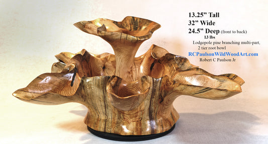 Exotic divided & branching tree root wood bowl, large, rustic yet refined, heirloom, flared side dishes and top dish, sprawling, one of a kind, unique, golden brown, tan, lodgepole pine, 13.25 inch tall x 32 x 24.5, food safe, wooden, unique 452-A