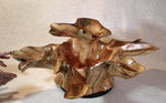 .. Exotic divided & branching tree root wood bowl, large, rustic yet refined, heirloom, flared side dishes and top dish, sprawling, one of a kind, unique, golden brown, tan, lodgepole pine, 13.25 inch tall x 32 x 24.5, food safe, wooden, unique 452-A