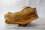 Rustic Black Cottonwood Bowl, Natural Wood Sculpture, Asymmetric Handle, 6.5"Tx14x11'', Wabi Sabi, one-of-a-kind, upcycled, 622-B