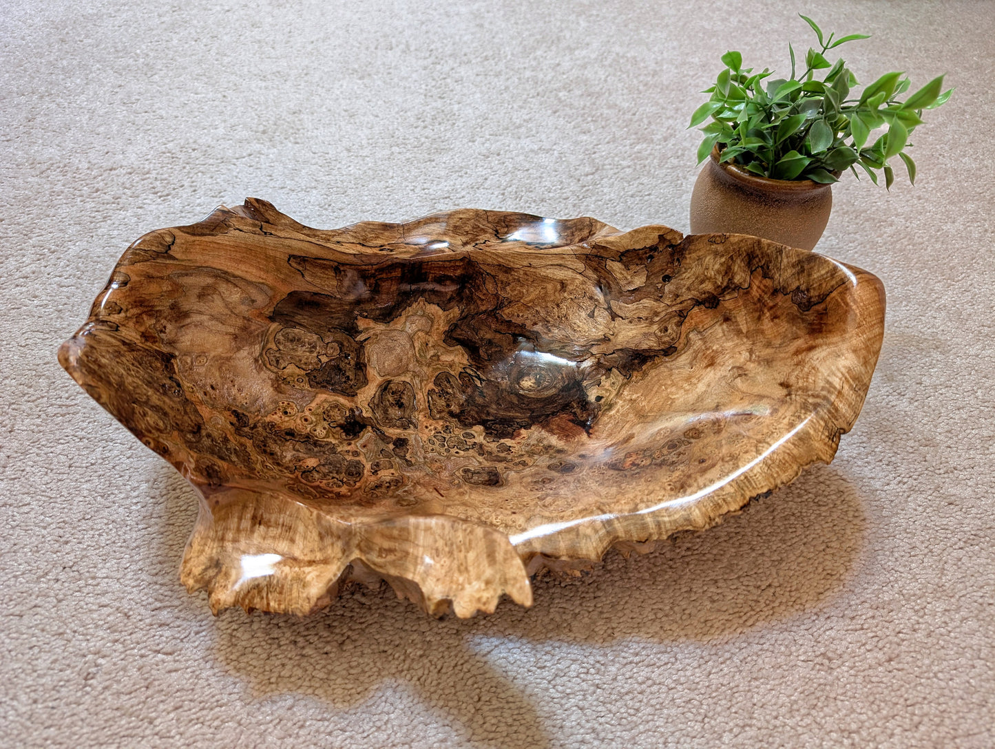 Exotic unbalanced wood bowl, large, smooth, rustic yet refined, heirloom, sprawling, one of a kind, 100% unique, brown gold with hint of maroon, 5.25 Tall x 16.5 x 13 inches, Wabi Sabi, fruit bowl, food safe, chips and dip, stunningly beautiful, 598-A