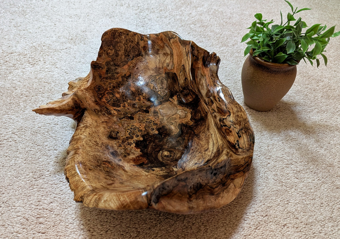 Exotic unbalanced wood bowl, large, smooth, rustic yet refined, heirloom, sprawling, one of a kind, 100% unique, brown gold with hint of maroon, 5.25 Tall x 16.5 x 13 inches, Wabi Sabi, fruit bowl, food safe, chips and dip, stunningly beautiful, 598-A