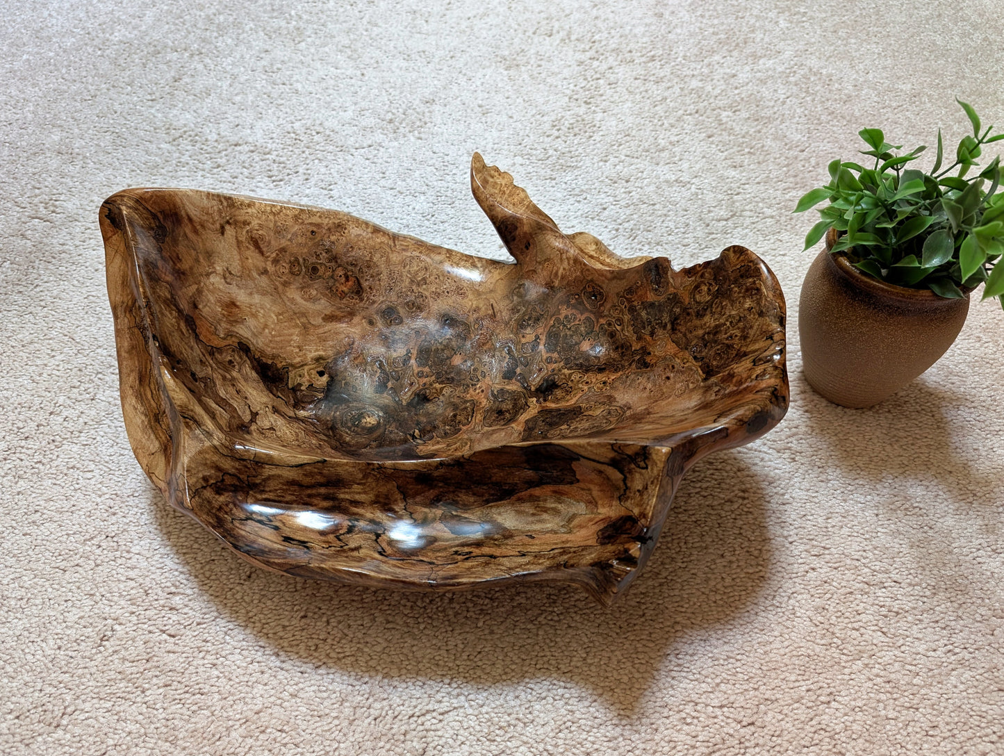 Exotic unbalanced wood bowl, large, smooth, rustic yet refined, heirloom, sprawling, one of a kind, 100% unique, brown gold with hint of maroon, 5.25 Tall x 16.5 x 13 inches, Wabi Sabi, fruit bowl, food safe, chips and dip, stunningly beautiful, 598-A
