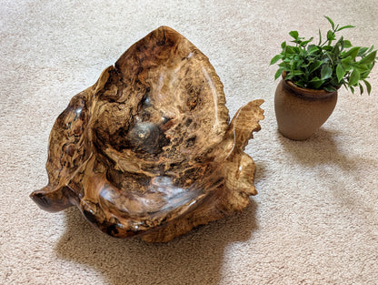 Exotic unbalanced wood bowl, large, smooth, rustic yet refined, heirloom, sprawling, one of a kind, 100% unique, brown gold with hint of maroon, 5.25 Tall x 16.5 x 13 inches, Wabi Sabi, fruit bowl, food safe, chips and dip, stunningly beautiful, 598-A