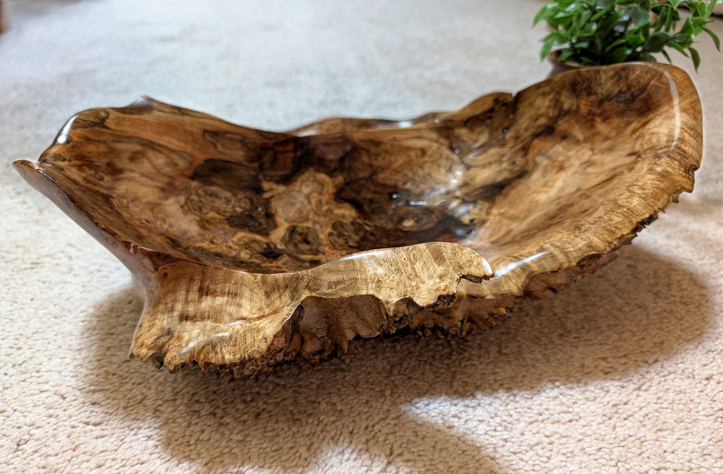 Exotic unbalanced wood bowl, large, smooth, rustic yet refined, heirloom, sprawling, one of a kind, 100% unique, brown gold with hint of maroon, 5.25 Tall x 16.5 x 13 inches, Wabi Sabi, fruit bowl, food safe, chips and dip, stunningly beautiful, 598-A