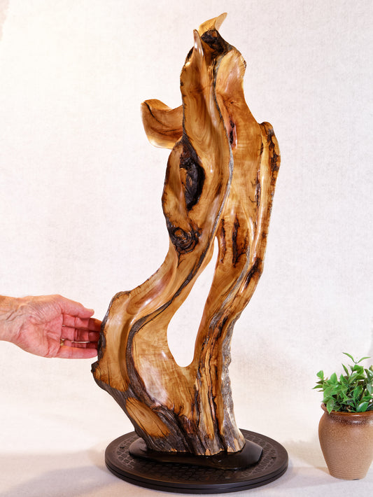 exotic wood sculpture 29 inch tall, one-of-a-kind, irregular freeform desktop tabletop or floor sculpture, Quaking Aspen , beautiful grain, smooth, satin finish, flowing lines,  yellow gold brown, reclaimed wood, sustainably sourced, 621-A