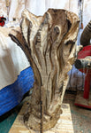 maple floor sculpture, coming soon, asymmetrical, curvy, see through, 42'' tall, Bigleaf Maple, 603-Q