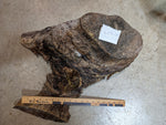 Bottom view of the original raw and rustic  wood piece that will become a decorative bowl.  18 inch ruler in photo.
