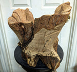 . Wood bowl, exotic, free-flowing, 14" tall, Curlleaf Mountain Mahogany, Wabi Sabi, one-of-a-kind, 660-A1