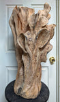 Late stage in the creation and sculpting of a 32.5" tall black walnut floor sculpture.