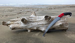 Special ocean driftwood that was collected and will be used for a 36 inch tall floor sculpture. A saw with a red handle and 13" white blade rests on the driftwood on a beach, with sand, ocean, and dunes in the background.