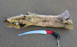 The Sitka spruce driftwood root as collected for the 27 inch tall sculpture 699-G.
